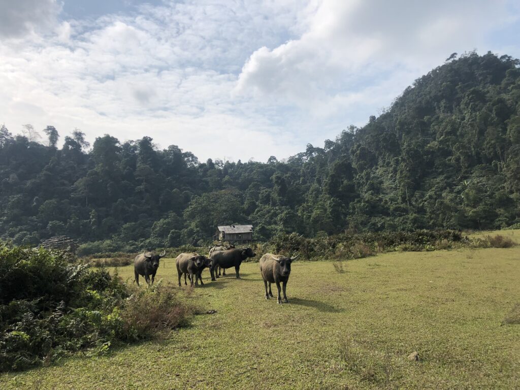 trekking Lam Thuong, Yen Bai