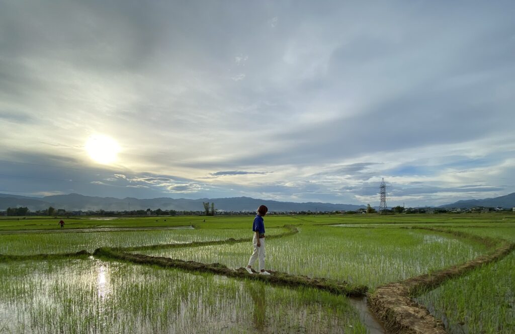 cánh đồng Mường Thanh Điện Biên