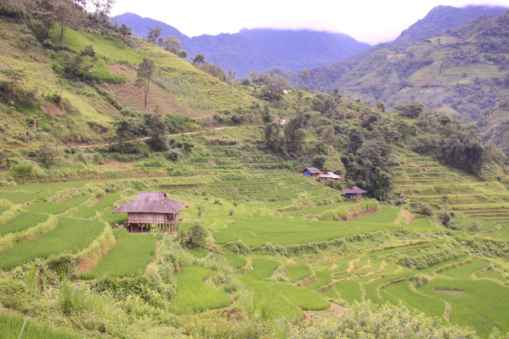 săn mây ở Lai Châu