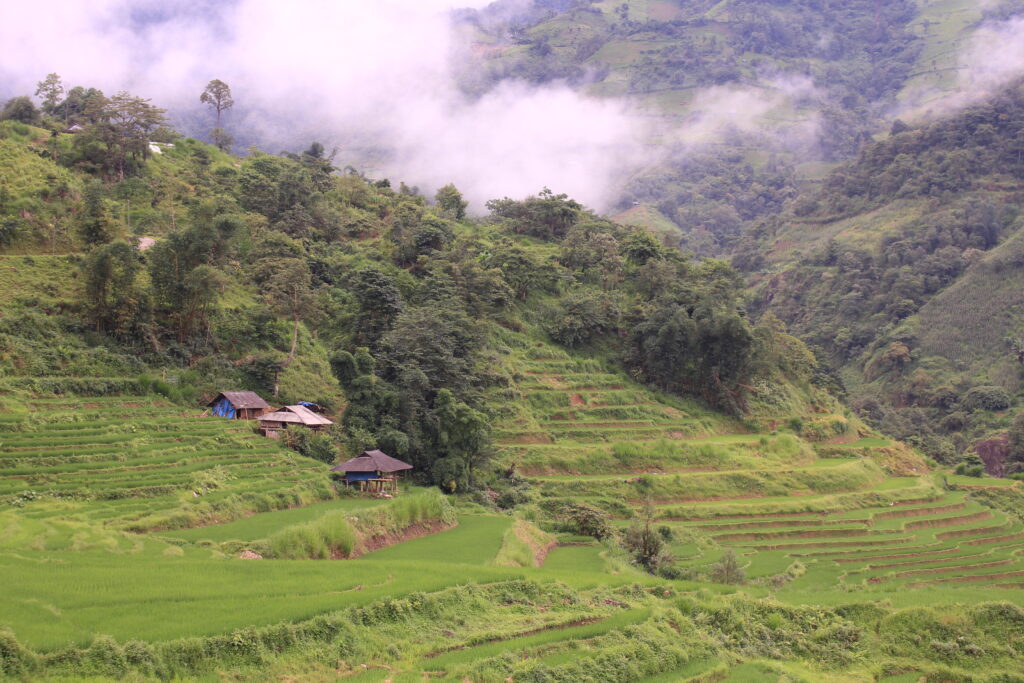 săn mây ở Lai Châu