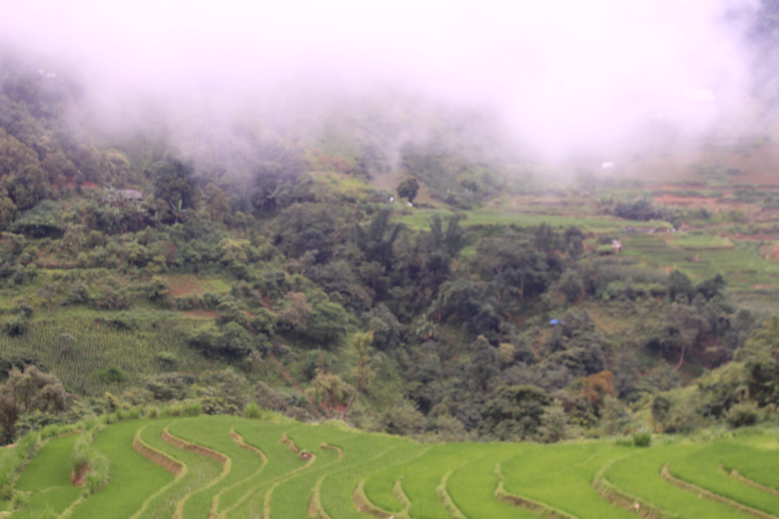 săn mây ở Lai Châu