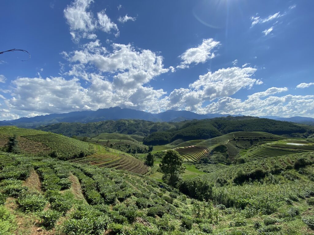 ngắm ruộng bậc thang Lai Châu