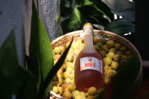 rượu men mơ