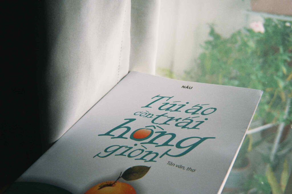 Túi áo còn trái hồng giòn