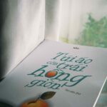 Túi áo còn trái hồng giòn