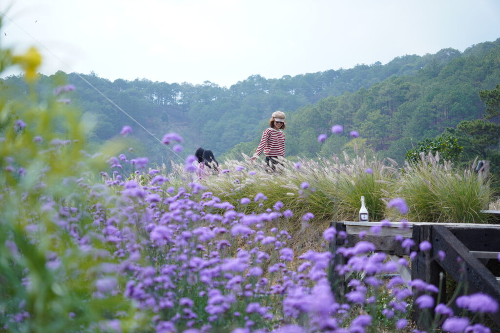 cuộc sống cứ thế tiếp diễn