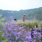 cuộc sống cứ thế tiếp diễn