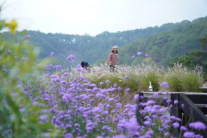 cuộc sống cứ thế tiếp diễn